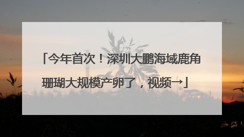 今年首次！深圳大鹏海域鹿角珊瑚大规模产卵了，视频→
