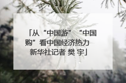 从“中国游”“中国购”看中国经济热力 新华社记者 樊 宇