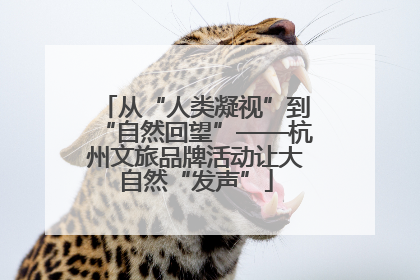 从“人类凝视”到“自然回望”——杭州文旅品牌活动让大自然“发声”