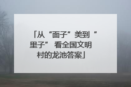 从“面子”美到“里子” 看全国文明村的龙池答案