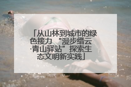 从山林到城市的绿色接力 “漫步缙云·青山驿站”探索生态文明新实践