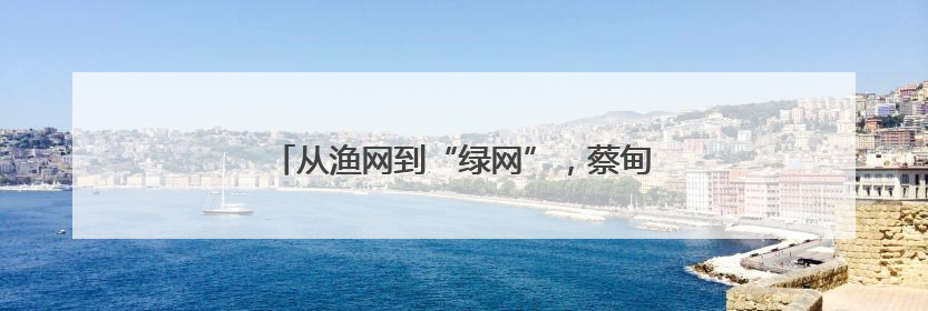 从渔网到“绿网”，蔡甸桐湖网住绿色生态经济