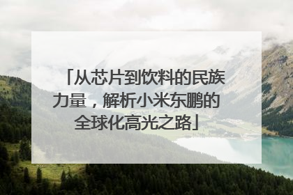 从芯片到饮料的民族力量，解析小米东鹏的全球化高光之路