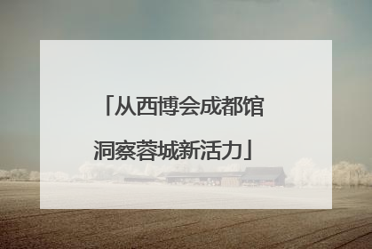 从西博会成都馆洞察蓉城新活力