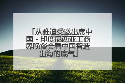 从雅迪受邀出席中国－印度尼西亚工商界晚餐会看中国智造出海的底气
