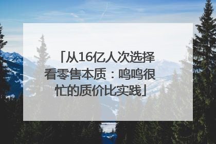 从16亿人次选择看零售本质：鸣鸣很忙的质价比实践