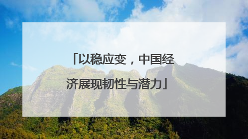 以稳应变，中国经济展现韧性与潜力