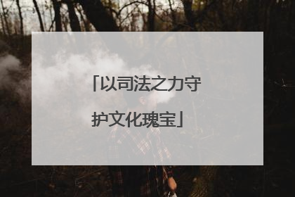 以司法之力守护文化瑰宝