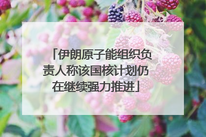 伊朗原子能组织负责人称该国核计划仍在继续强力推进