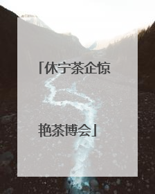 休宁茶企惊艳茶博会