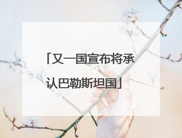 又一国宣布将承认巴勒斯坦国