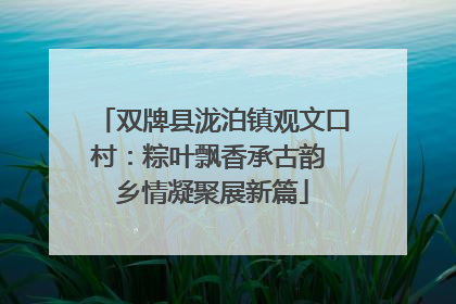 双牌县泷泊镇观文口村：粽叶飘香承古韵 乡情凝聚展新篇