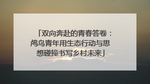 双向奔赴的青春答卷：鸬鸟青年用生态行动与思想碰撞书写乡村未来