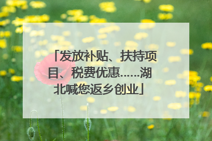 发放补贴、扶持项目、税费优惠……湖北喊您返乡创业