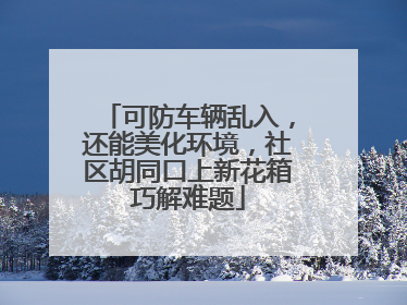 可防车辆乱入，还能美化环境，社区胡同口上新花箱巧解难题