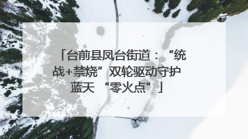 台前县凤台街道：“统战+禁烧”双轮驱动守护蓝天 “零火点”