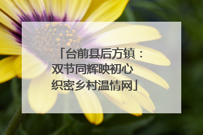 台前县后方镇：双节同辉映初心 织密乡村温情网