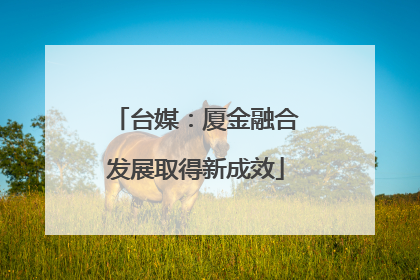 台媒：厦金融合发展取得新成效