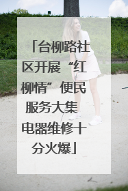 台柳路社区开展“红柳情”便民服务大集 电器维修十分火爆