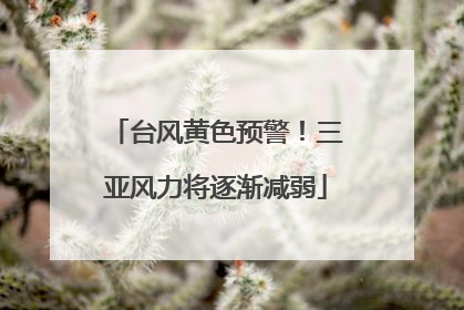 台风黄色预警！三亚风力将逐渐减弱