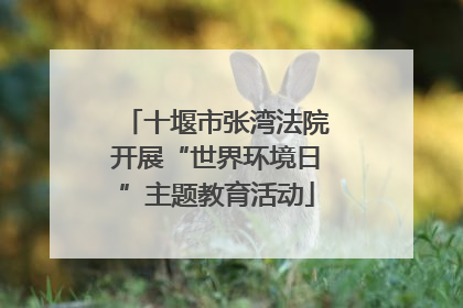 十堰市张湾法院开展“世界环境日”主题教育活动
