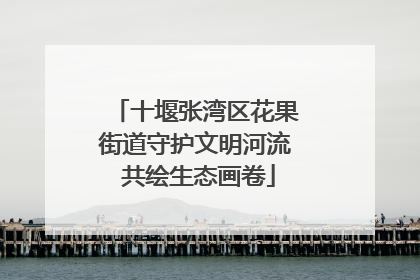 十堰张湾区花果街道守护文明河流 共绘生态画卷