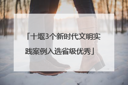 十堰3个新时代文明实践案例入选省级优秀