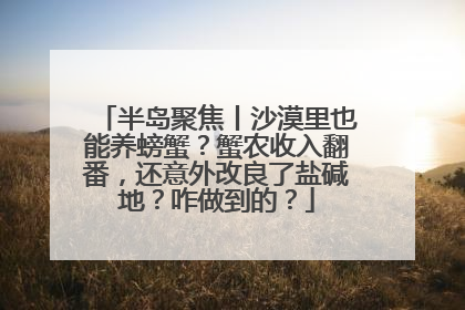 半岛聚焦丨沙漠里也能养螃蟹？蟹农收入翻番，还意外改良了盐碱地？咋做到的？