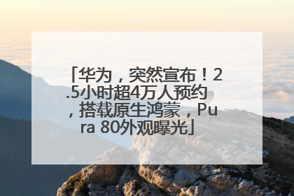 华为，突然宣布！2.5小时超4万人预约，搭载原生鸿蒙，Pura 80外观曝光