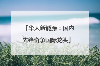 华太新能源：国内先锋奋争国际龙头