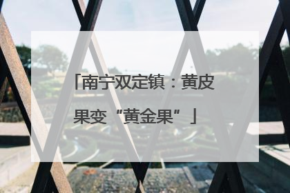 南宁双定镇：黄皮果变“黄金果”
