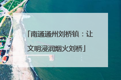 南通通州刘桥镇：让文明浸润烟火刘桥