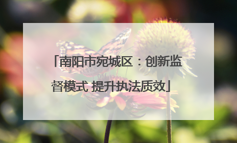 南阳市宛城区：创新监督模式 提升执法质效