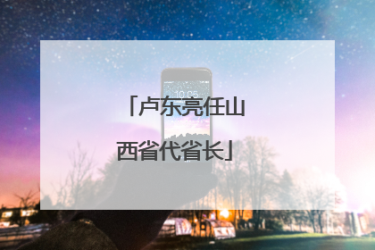 卢东亮任山西省代省长