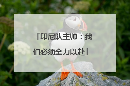 印尼队主帅:我们必须全力以赴
