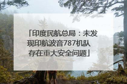 印度民航总局：未发现印航波音787机队存在重大安全问题