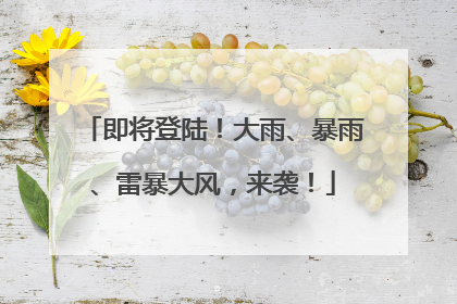 即将登陆！大雨、暴雨、雷暴大风，来袭！