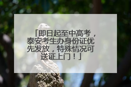 即日起至中高考，泰安考生办身份证优先发放，特殊情况可送证上门！