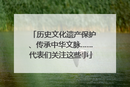 历史文化遗产保护、传承中华文脉……代表们关注这些事