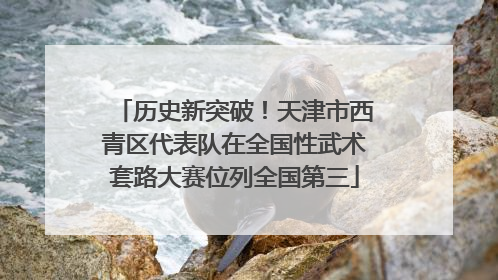 历史新突破！天津市西青区代表队在全国性武术套路大赛位列全国第三