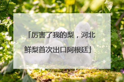 厉害了我的梨，河北鲜梨首次出口阿根廷