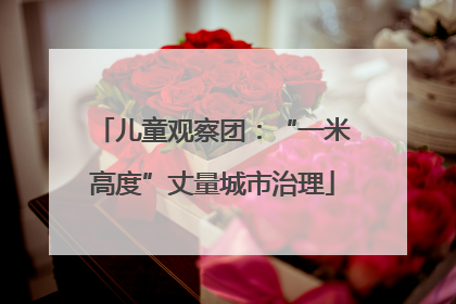 儿童观察团：“一米高度”丈量城市治理