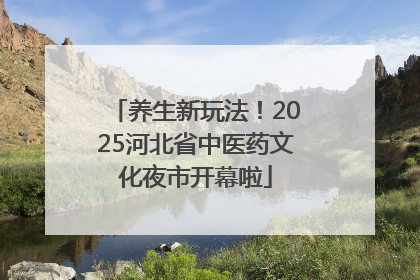 养生新玩法！2025河北省中医药文化夜市开幕啦