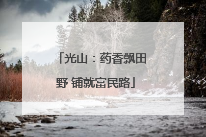 光山：药香飘田野 铺就富民路