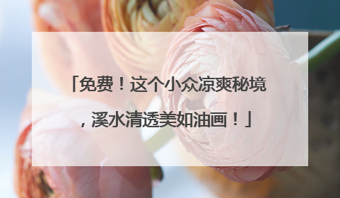 免费！这个小众凉爽秘境，溪水清透美如油画！