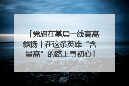党旗在基层一线高高飘扬丨在这条英雄“含量高”的路上寻初心