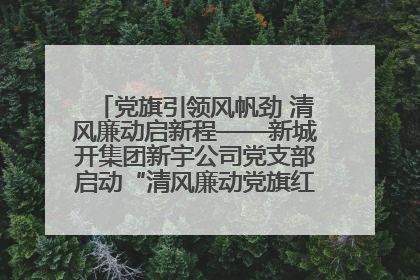 党旗引领风帆劲 清风廉动启新程——新城开集团新宇公司党支部启动“清风廉动党旗红”系列活动