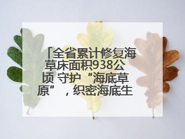 全省累计修复海草床面积938公顷 守护“海底草原”，织密海底生态“一张网”
