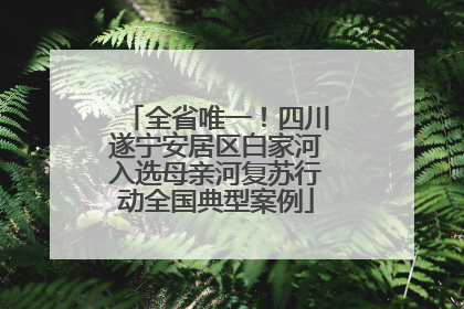 全省唯一！四川遂宁安居区白家河入选母亲河复苏行动全国典型案例