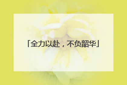 全力以赴，不负韶华